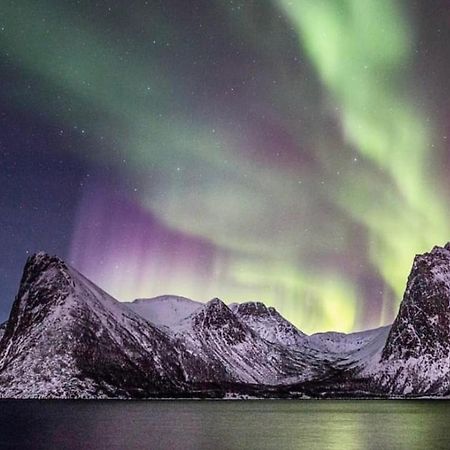 Senja Living Aparthotel Stonglandseidet Buitenkant foto