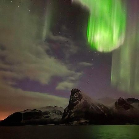 Senja Living Aparthotel Stonglandseidet Buitenkant foto