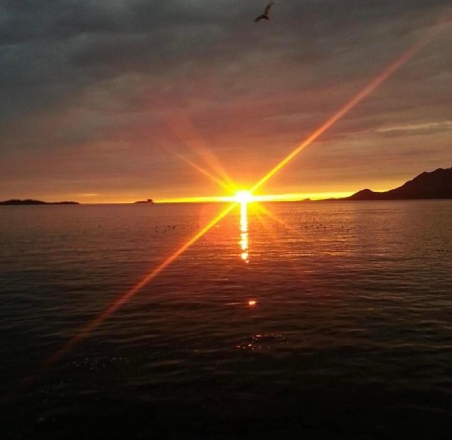 Senja Living Aparthotel Stonglandseidet Buitenkant foto