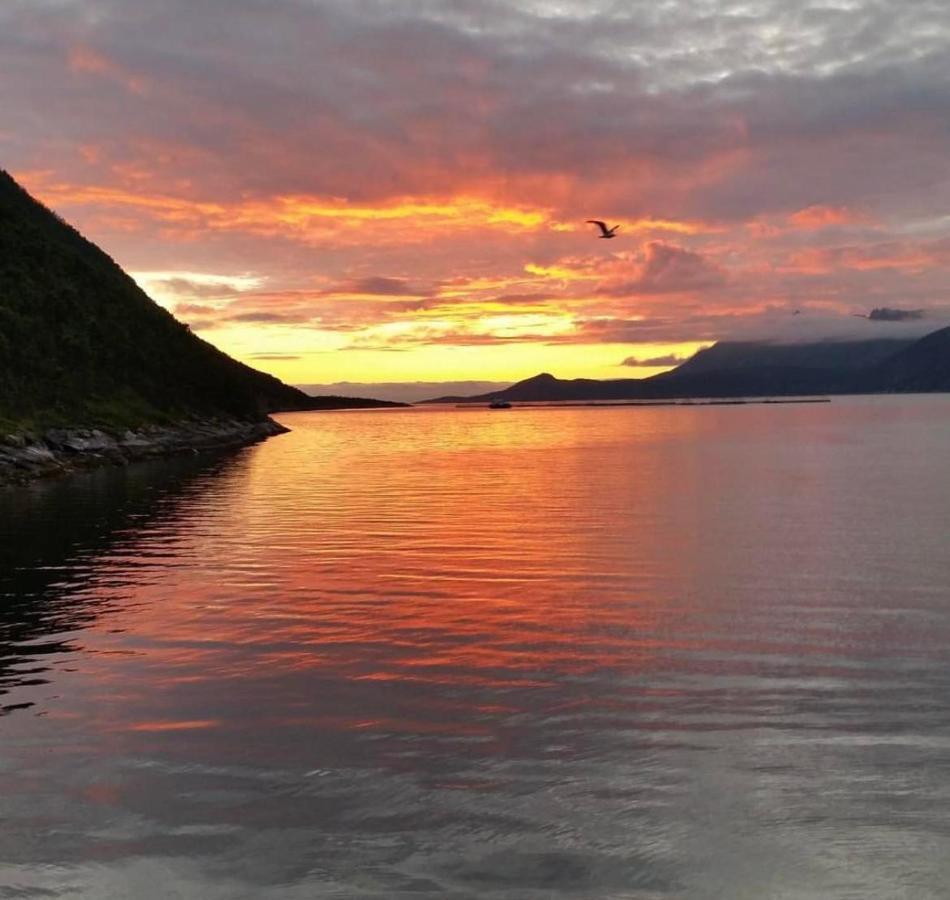 Senja Living Aparthotel Stonglandseidet Buitenkant foto