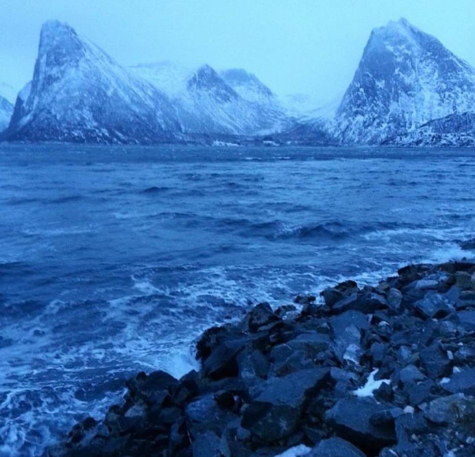 Senja Living Aparthotel Stonglandseidet Buitenkant foto