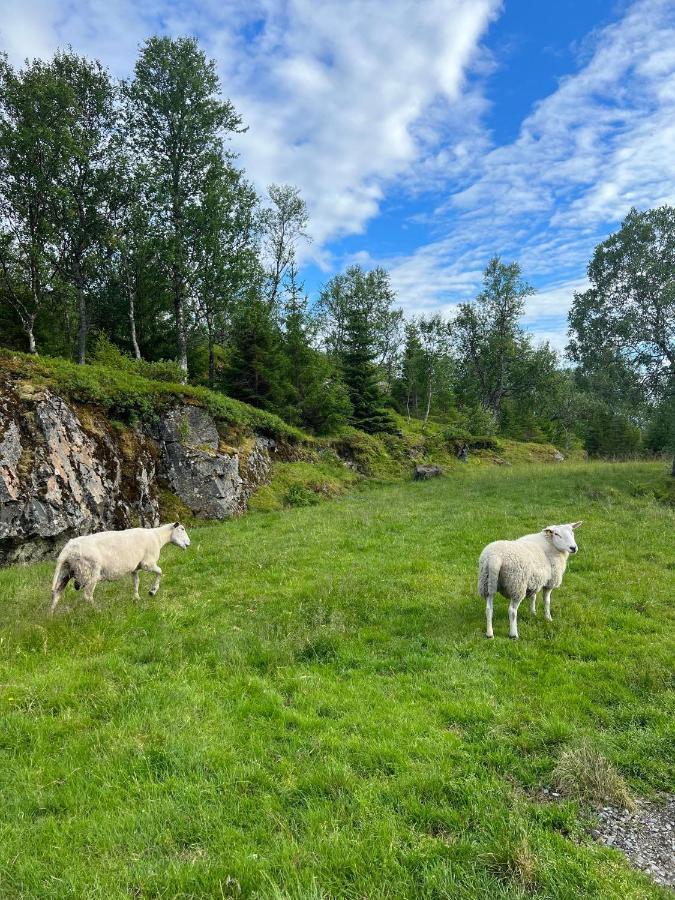 Senja Living Aparthotel Stonglandseidet Buitenkant foto