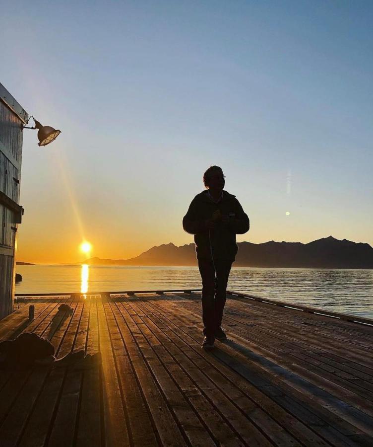Senja Living Aparthotel Stonglandseidet Buitenkant foto
