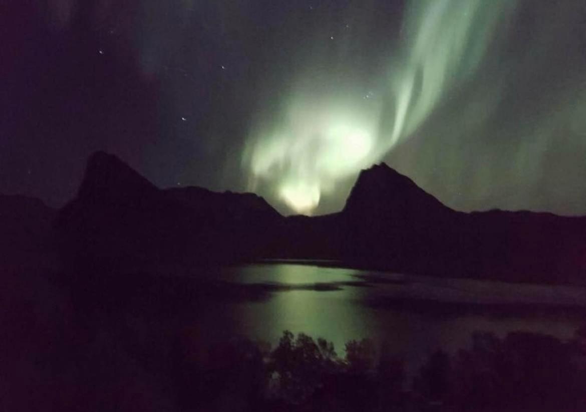 Senja Living Aparthotel Stonglandseidet Buitenkant foto