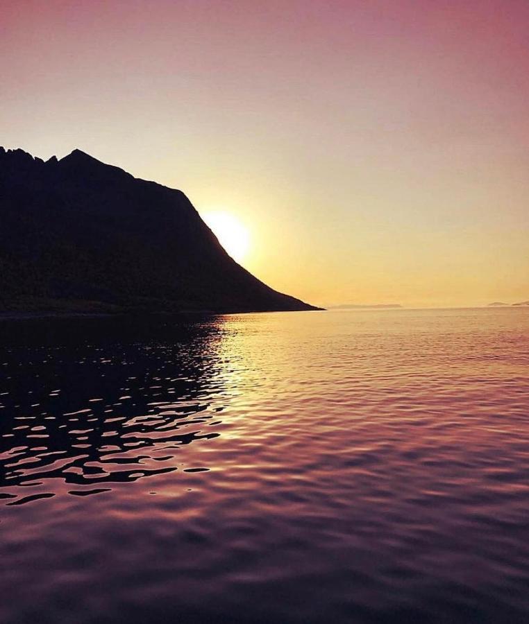 Senja Living Aparthotel Stonglandseidet Buitenkant foto