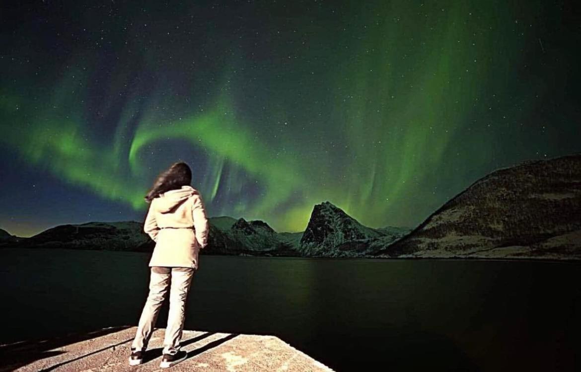 Senja Living Aparthotel Stonglandseidet Buitenkant foto