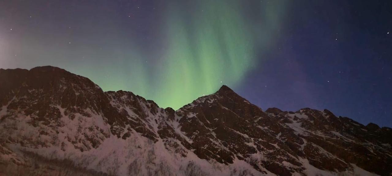 Senja Living Aparthotel Stonglandseidet Buitenkant foto