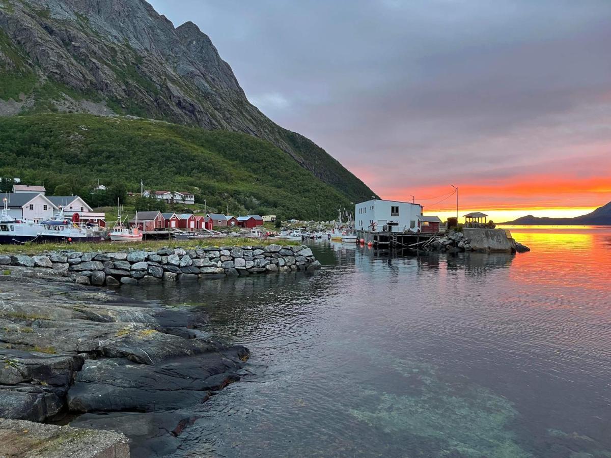 Senja Living Aparthotel Stonglandseidet Buitenkant foto