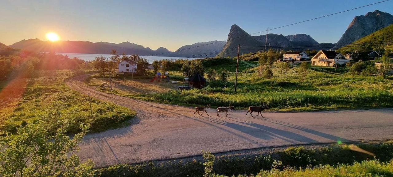 Senja Living Aparthotel Stonglandseidet Buitenkant foto