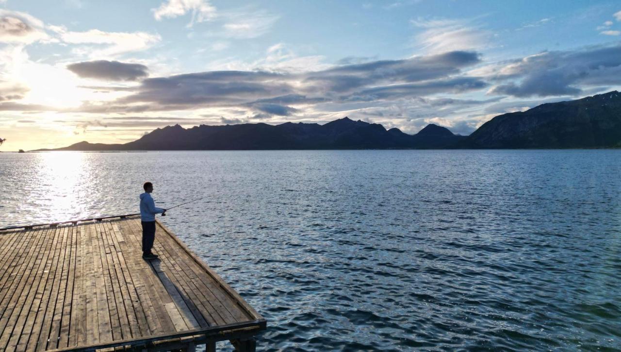 Senja Living Aparthotel Stonglandseidet Buitenkant foto